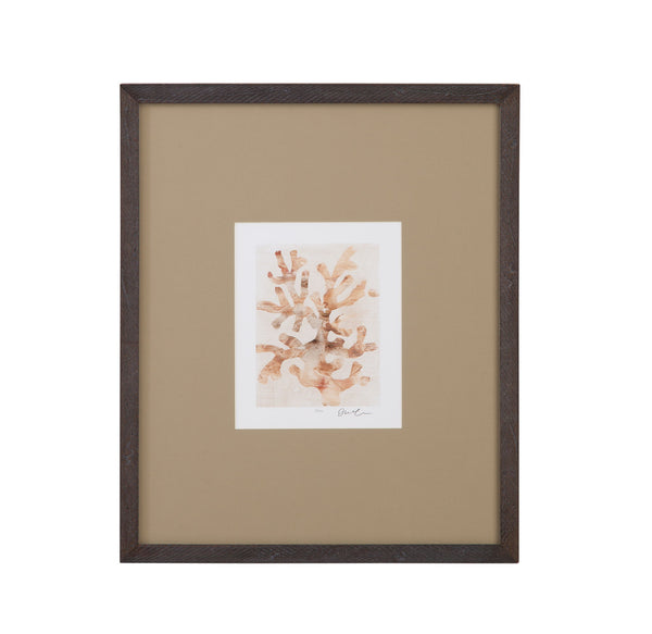 Parchment Coral I Framed Print - Brown