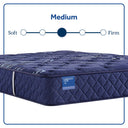 Carrington Chase - Travelers Rest Medium Tight Top Mattress