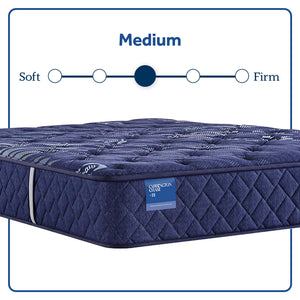 Carrington Chase - Travelers Rest Medium Tight Top Mattress