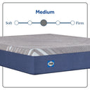 Golden Elegance - Bridgerton Medium Mattress