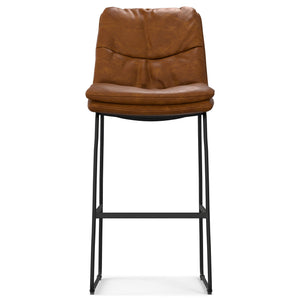 Danika - Bar Stool (Set of 2)