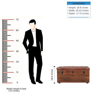 Buffalo - Storage Trunk