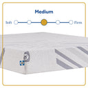Golden Elegance - Stately Medium Mattress