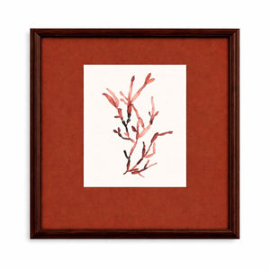 Bubble Seaweed Framed Print - Red