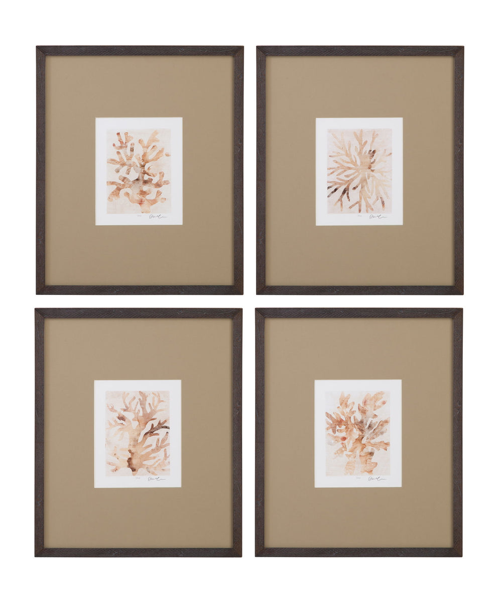 Parchment Coral II Framed Print - Brown