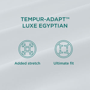 Linens - Tempur Luxe Egyptian Cotton Pillowcase Set
