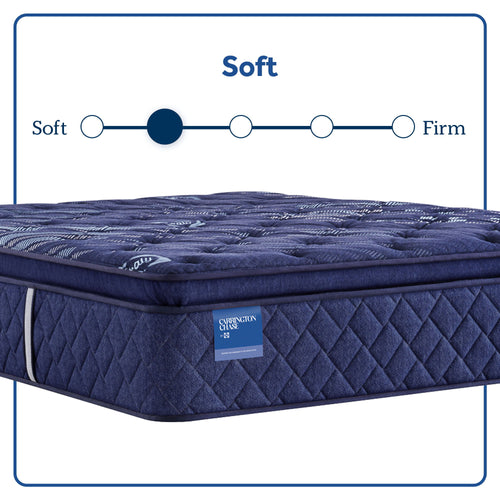 Carrington Chase - Travelers Rest Soft Euro Pillow Top Mattress