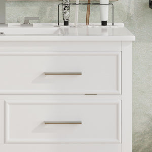 Bathroom Vanity With Ceramic Sink, Tip Out Tray & 2 Full Extension Drawers