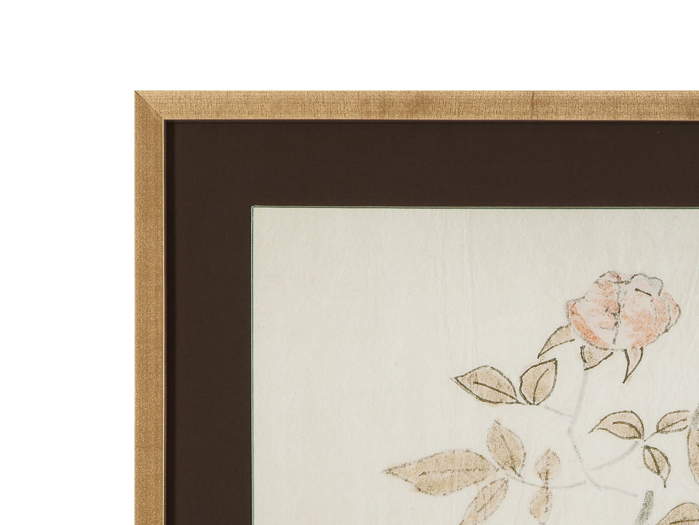 Delicate Rose I Framed Print - Cream