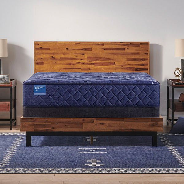 Carrington Chase - Travelers Rest Medium Tight Top Mattress