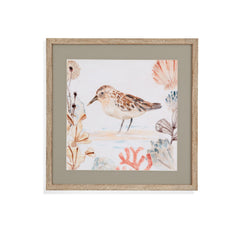 Shell Peppers IV Framed Print - White