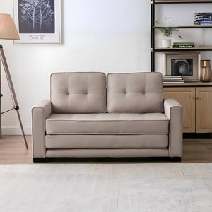 Upholstered Pull Out Sleeper Loveseat