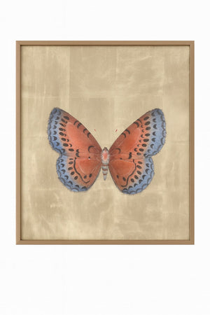 Papilio Luxe Aestas Framed Print - Orange / Blue / Tan