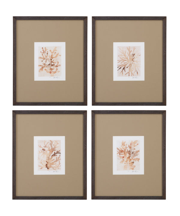 Parchment Coral Framed Print (Set of 4) - Brown