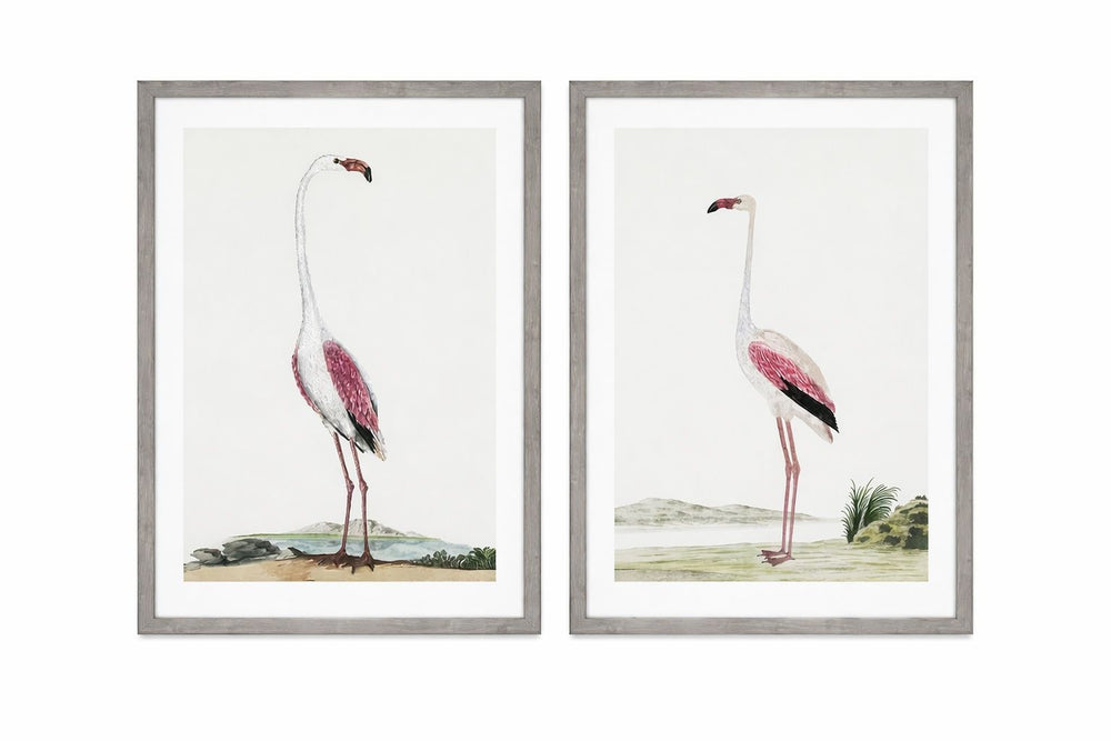 Vintage - Flamingo Framed Print (Set of 2) - Pink