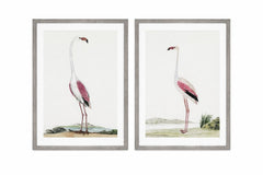 Vintage - Flamingo Framed Print (Set of 2) - Pink