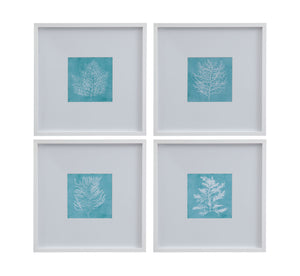 White Coral On Blue IV Framed Print - Blue / White