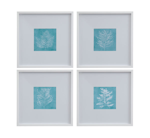 White Coral On Blue IV Framed Print - Blue / White