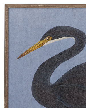 Bayou Heron II Framed Print - Blue / Black