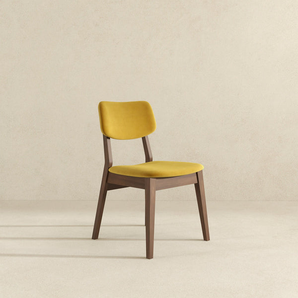 Carlos - Solid Back Side Chair (Set of 2)