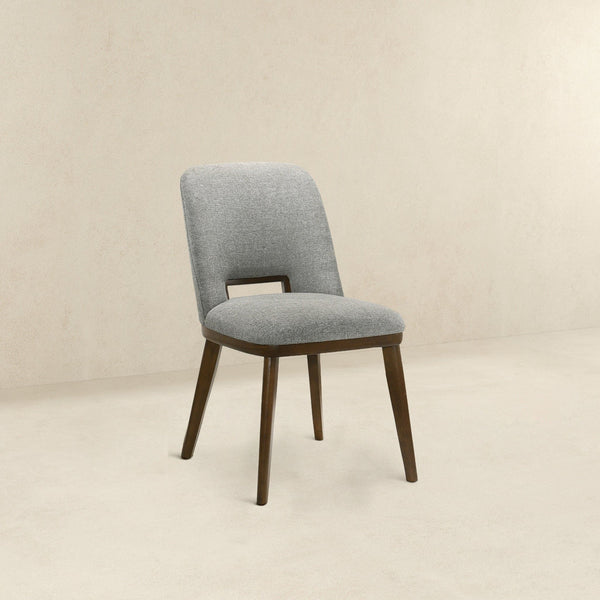 Blake - Modern Dining Chair (Set of 2)