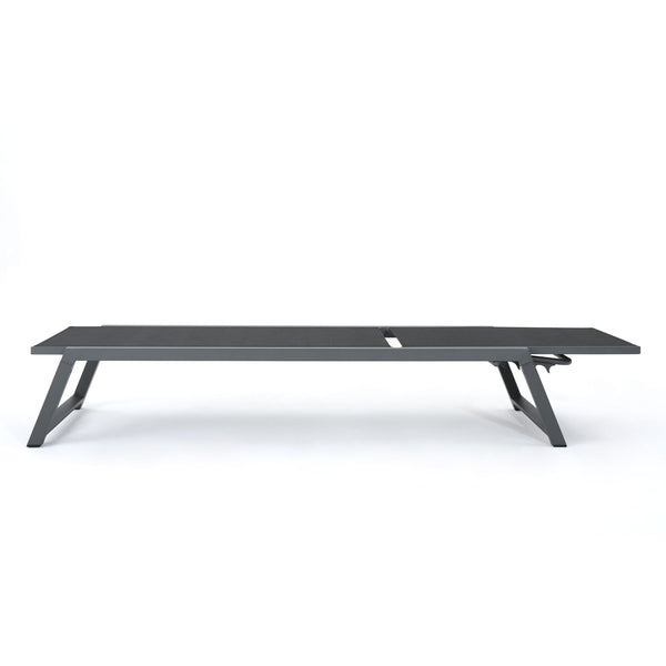 Myers - Modern Chaise Lounge Set With Adjustable Back