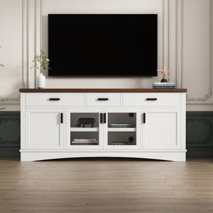 Modern TV Console & Adjustable Shelves