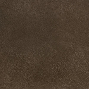 Vivica - Leather Power Recliner