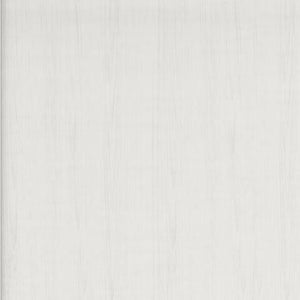 Deznee - 48" Home Office Desk - White