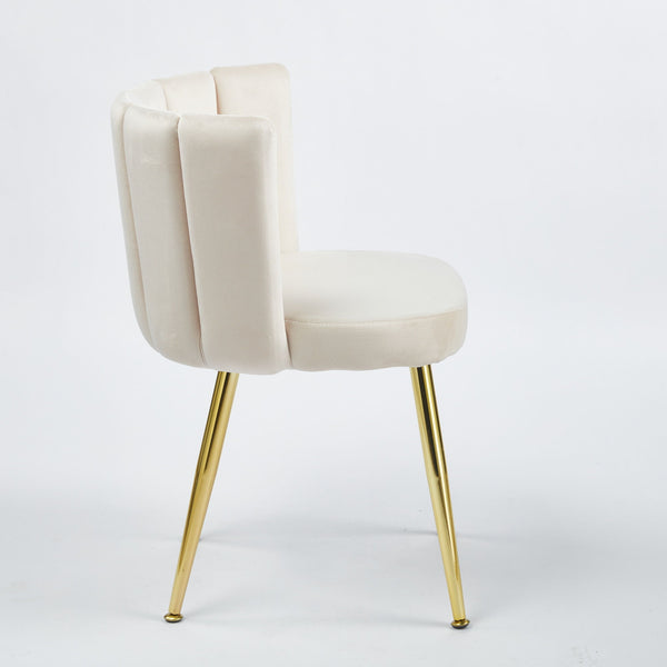 Ergonomic Dining Chair (Set of 2)