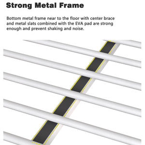 Adam - Bunk Bed