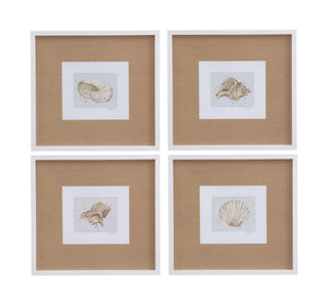 Neutral Shell Fresco I Framed Print - Light Brown / White