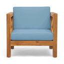 Brava - Mid - Century Modern Club Chair With Water Resistant Cushions