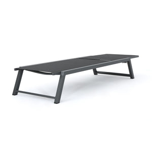 Myers - Modern Chaise Lounge Set With Adjustable Back