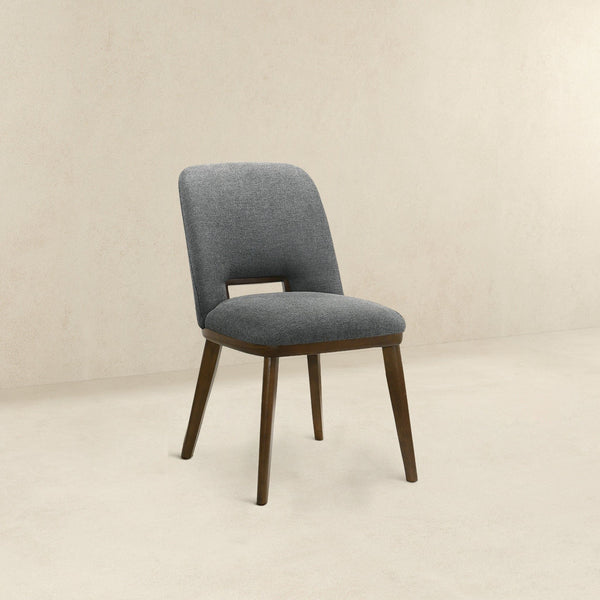 Blake - Modern Dining Chair (Set of 2)