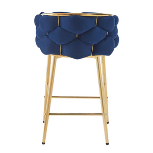 Modern Counter Stools (Set of 2)
