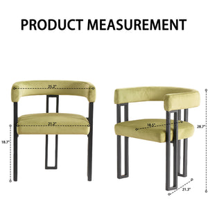 Cushioned Accent Armchairs (Set of 2)