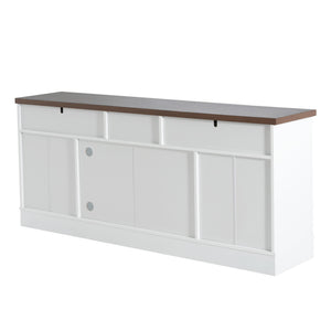 Modern TV Console & Adjustable Shelves