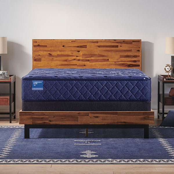 Carrington Chase - Travelers Rest Soft Tight Top Mattress