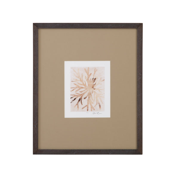 Parchment Coral II Framed Print - Brown