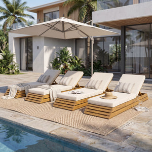 Chaise Lounge Set With 2 Fold Cushion