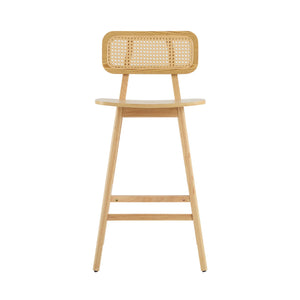 Bari - Indoor Wood Barstool (Set of 2)