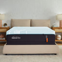 Tempur-Adapt - LuxeAdapt Firm Mattress