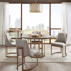 Contemporary Modern Accent Dining Chairs (Set of 2)