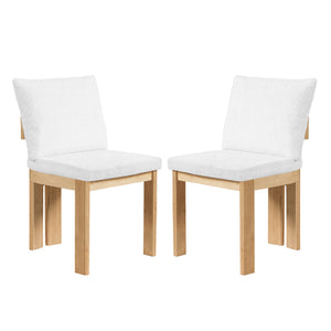 Indoor Dining Chair (Set of 2)