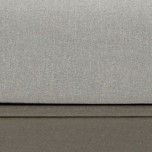 Visola - Lounge Chair w/Cushion (Set of 2) - Gray