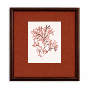 Marbled Seaweed Framed Print - Red