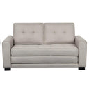Upholstered Pull Out Sleeper Loveseat