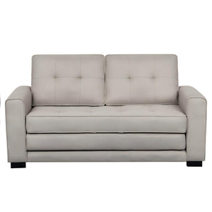 Upholstered Pull Out Sleeper Loveseat
