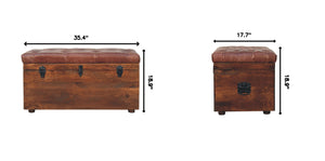Buffalo - Storage Trunk